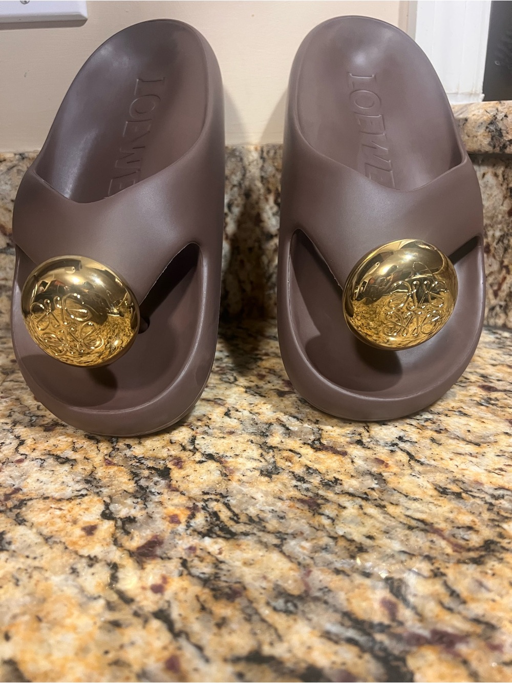 Loewe Slide Sandals with Gold Medallion